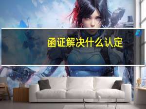 函证解决什么认定