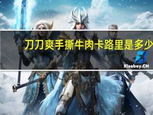 刀刀爽 手撕牛肉卡路里是多少