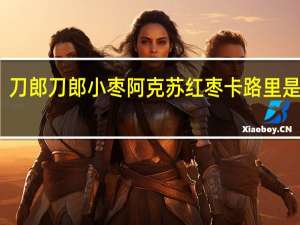 刀郎 刀郎小枣阿克苏红枣卡路里是多少