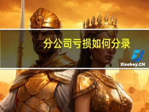 分公司亏损 如何分录