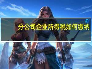 分公司企业所得税如何缴纳