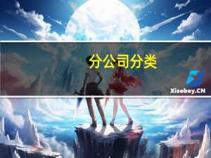 分公司分类（有限责任公司分类）