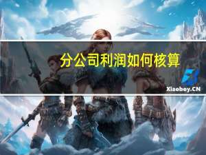 分公司利润如何核算
