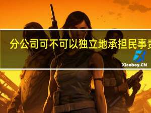 分公司可不可以独立地承担民事责任