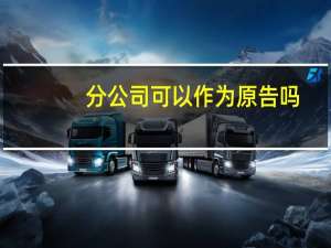 分公司可以作为原告吗
