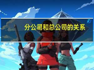 分公司和总公司的关系
