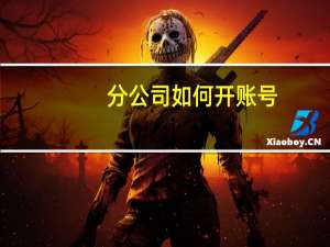 分公司如何开账号
