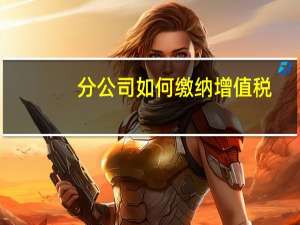 分公司如何缴纳增值税