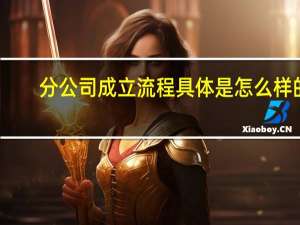 分公司成立流程具体是怎么样的