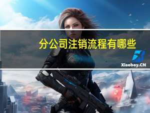 分公司注销流程有哪些