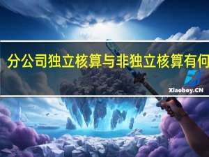 分公司独立核算与非独立核算有何区别？