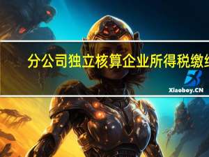 分公司独立核算企业所得税缴纳（分公司独立核算企业所得税）