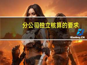 分公司独立核算的要求（分公司设立的条件）