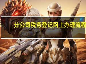 分公司税务登记网上办理流程（新公司的税务办理流程）