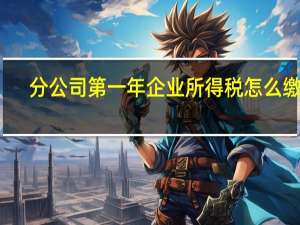 分公司第一年企业所得税怎么缴纳（企业所得税怎么缴纳）