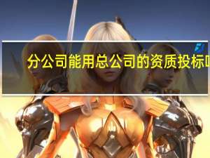 分公司能用总公司的资质投标吗