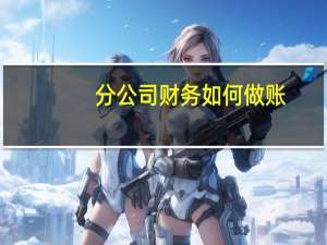 分公司财务如何做账
