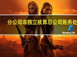 分公司非独立核算总公司账务处理（分公司非独立核算）