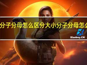 分子分母怎么区分大小 分子分母怎么区分