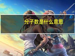 分子数是什么意思