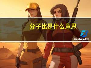 分子比是什么意思