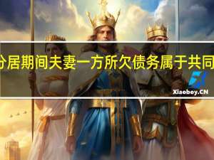 分居期间夫妻一方所欠债务属于共同债务吗