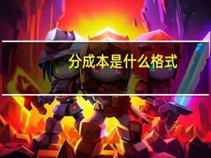 分成本是什么格式