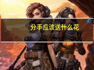 分手应该送什么花