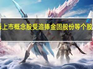 分拆上市概念股受追捧 金固股份等个股“不合格”