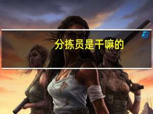 分拣员是干嘛的