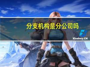 分支机构是分公司吗