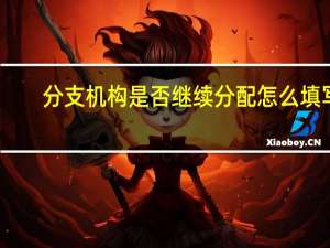 分支机构是否继续分配怎么填写