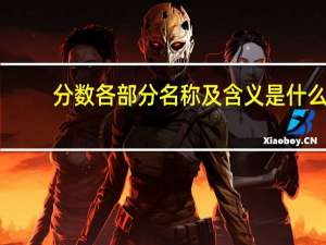 分数各部分名称及含义是什么