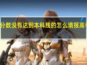 分数没有达到本科线的怎么填报高考志愿