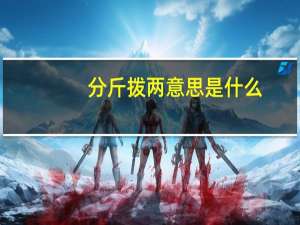 分斤拨两意思是什么