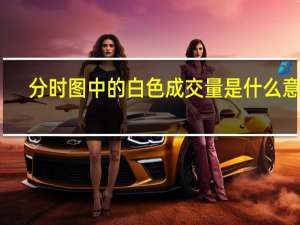 分时图中的白色成交量是什么意思（成交量是什么意思）