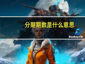分期期数是什么意思
