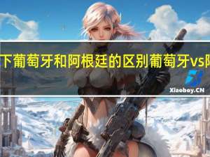 分析一下葡萄牙和阿根廷的区别 葡萄牙vs阿根廷完整版
