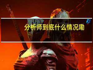 分析师 到底什么情况嘞