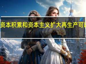 分析资本积累和资本主义扩大再生产可以看出什么