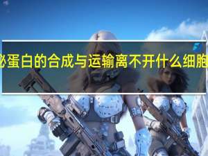 分泌蛋白的合成与运输离不开什么细胞器的参与（分泌蛋白）