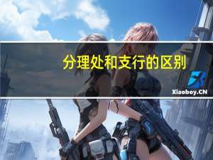 分理处和支行的区别