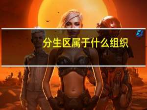 分生区属于什么组织