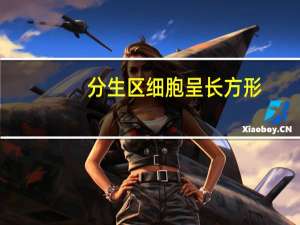 分生区细胞呈长方形,排列紧密（分生区）