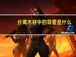 分离木材中的导管是什么