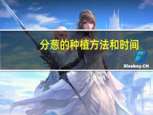 分葱的种植方法和时间