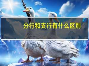 分行和支行有什么区别