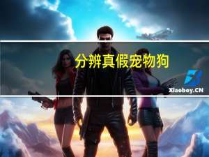 分辨真假宠物狗