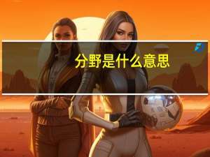分野是什么意思