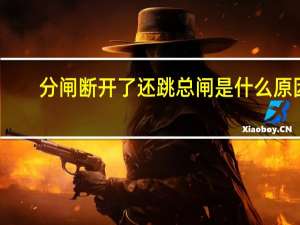 分闸断开了还跳总闸是什么原因